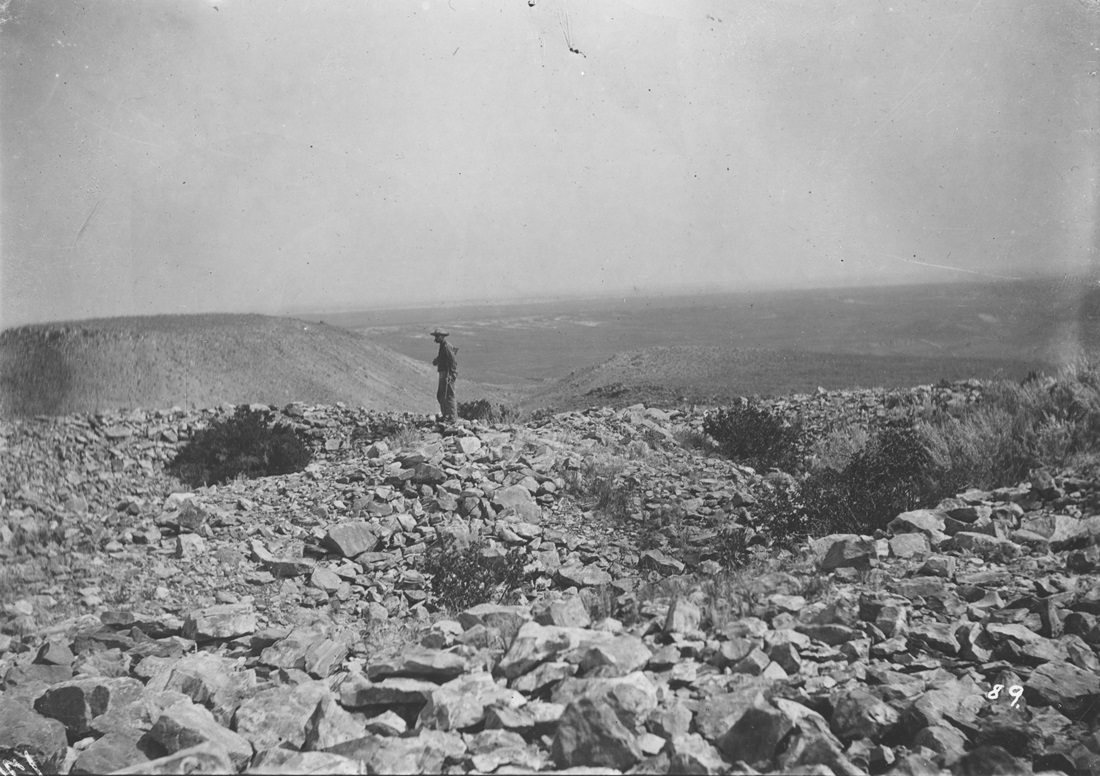 Fossils, Fame, and the Frontier: The Story of William Harlow Reed ...
